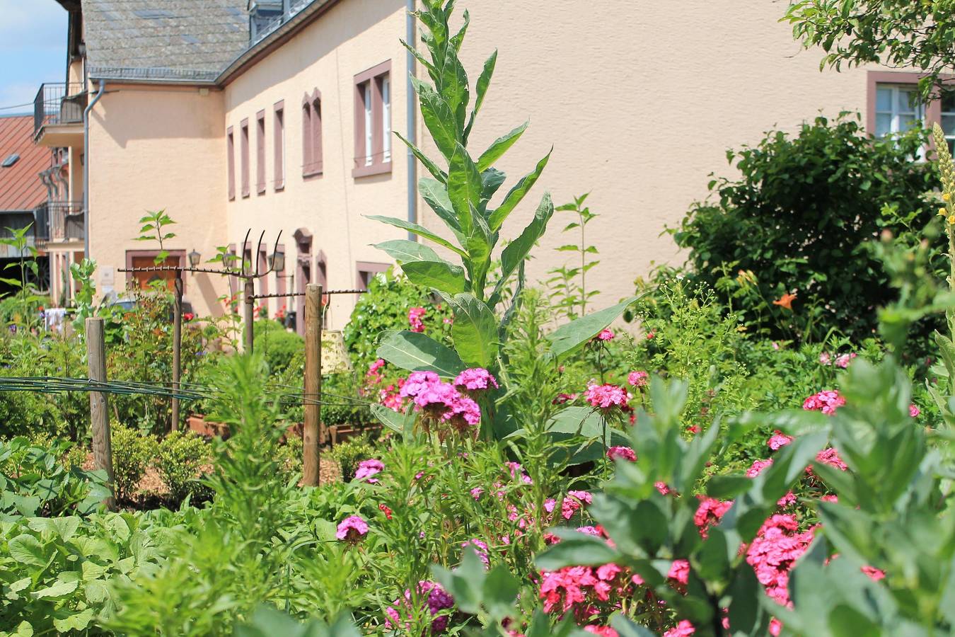 Ferienhof Mayischhof in Lauperath, Eifelkreis Bitburg-Prüm