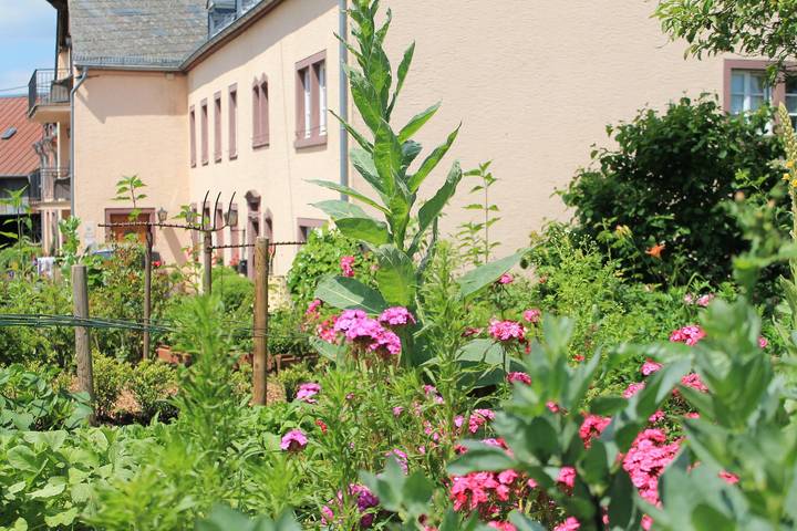 Bauernhaus für 6 Personen, mit Garten, kinderfreundlich - 1