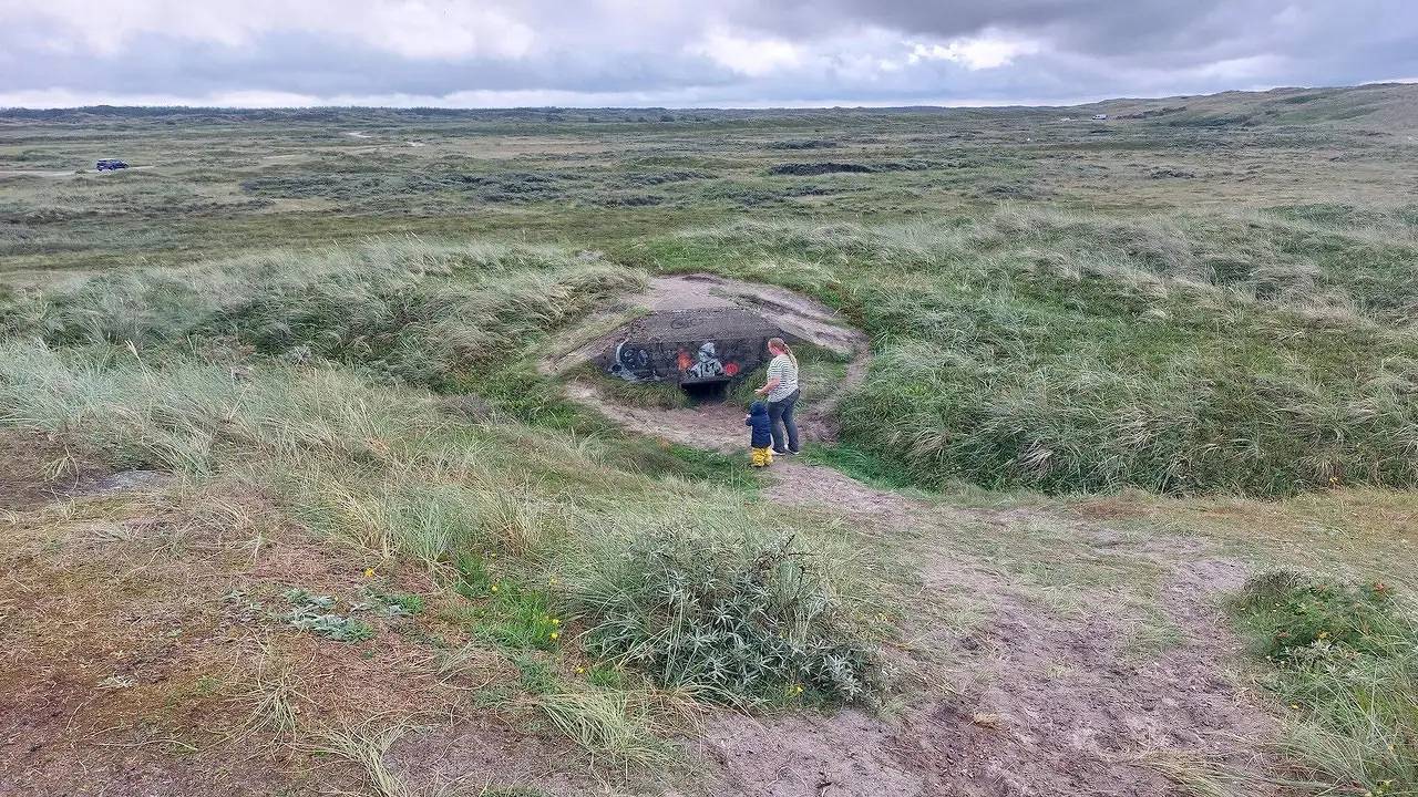 Ferienhaus für 6 Personen (72 m²) in Skjern in Skjern, Ringkøbing Fjord