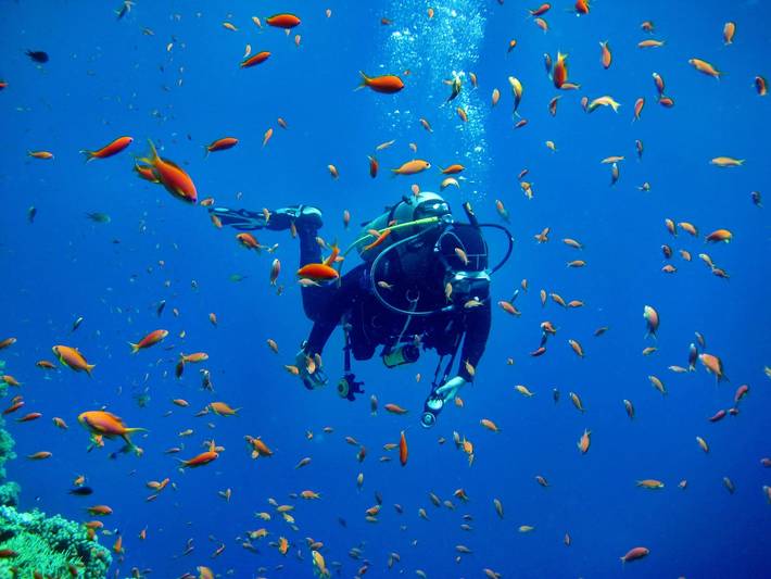 Wohnwagen für 4 Personen, mit Terrasse und Pool, mit Haustier auf Korsika - 4