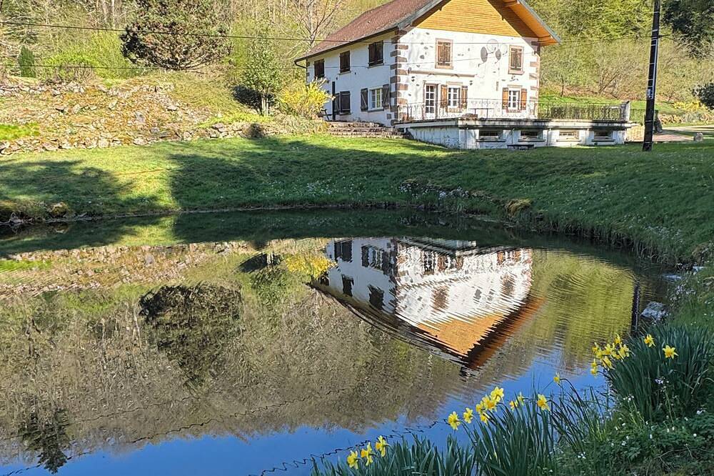 Domaine nature avec étang privé et sauna - 10 couchages - calme absolu 🌲 in Servance, Haute-Saône