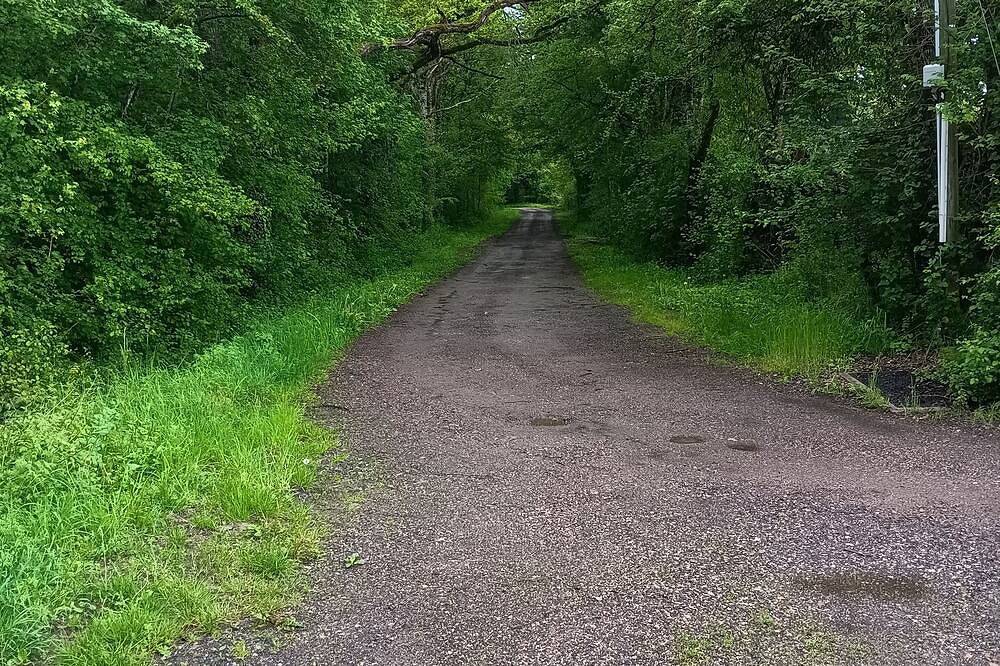 Gîte indépendant pouvant accueillir jusqu'à 6 personnes, situé dans une forêt. in Saint-Parize-le-Châtel, Nièvre