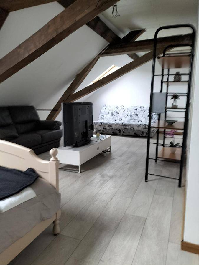 Vakantiewoning voor 3 personen, met huisdier in Mons (Hennegau)