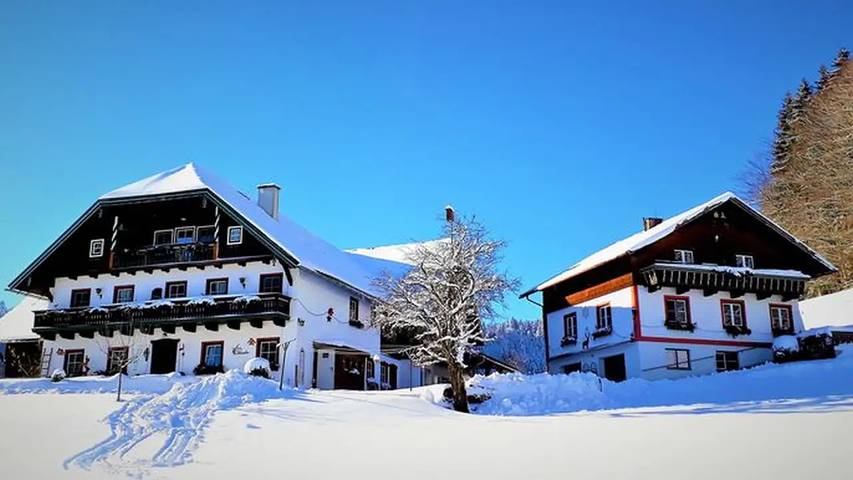Ferienwohnung für 2 Personen, mit Garten in Fuschl am See - 2