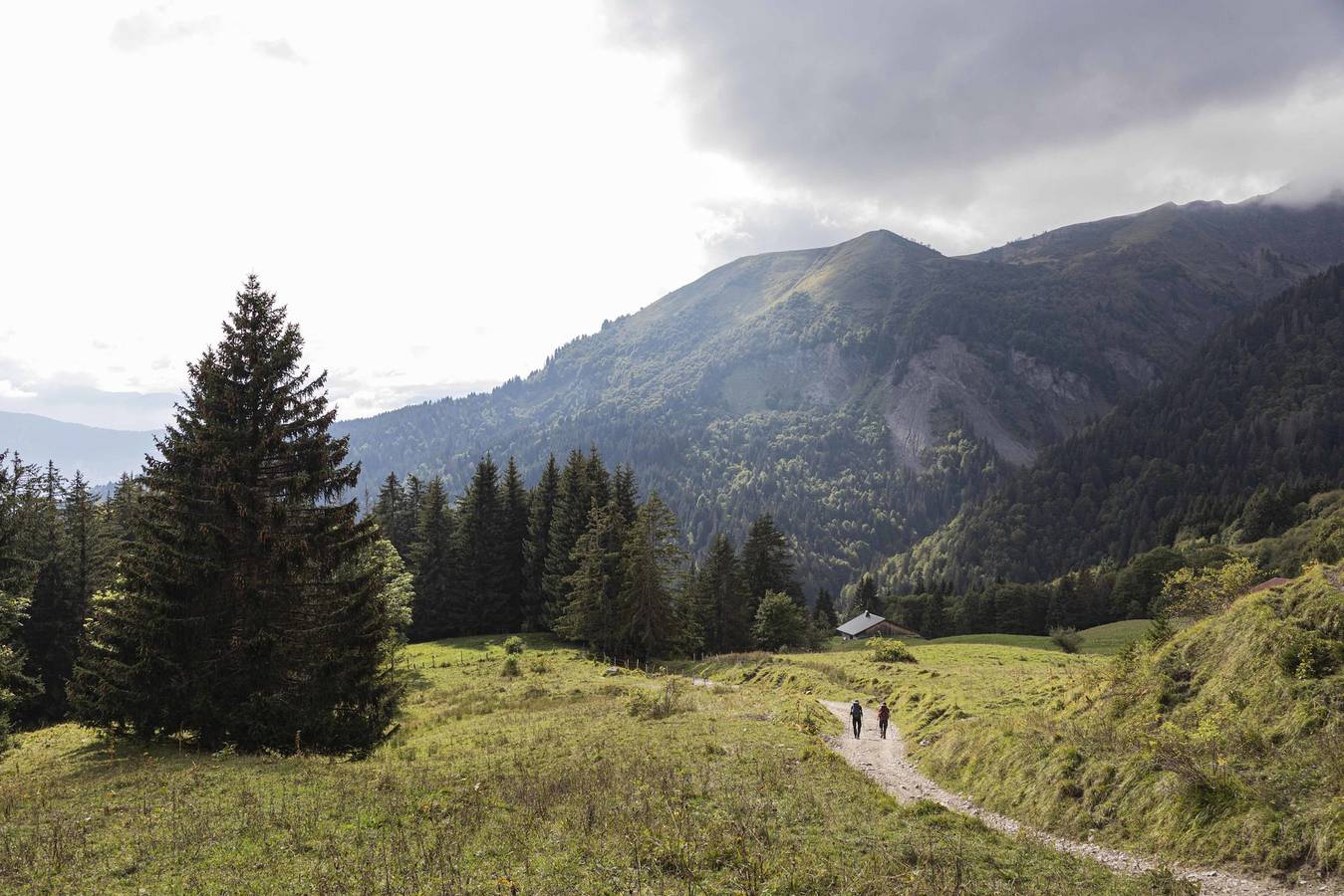 Chalet 'Refuge De Quiétude À La Montagne' avec un panorama d'alpage in Samoëns, Région de Bonneville