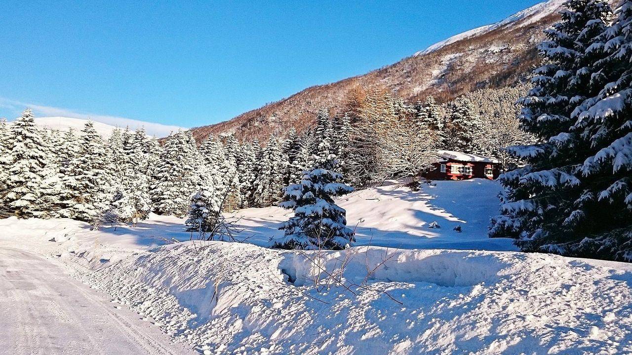 Ferienhaus für 6 Personen (50 m²) in Øvre Årdal in Sognefjord