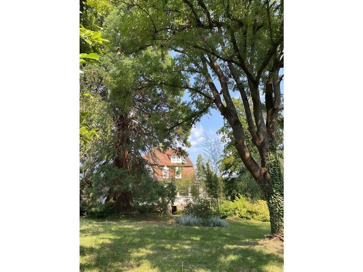 Ferienhaus für 14 Personen, mit Garten in Wissembourg - 3