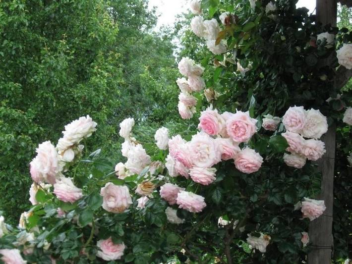 Location de vacances pour 5 personnes, avec terrasse et jardin à Saint-Martin-de-la-Place - 3