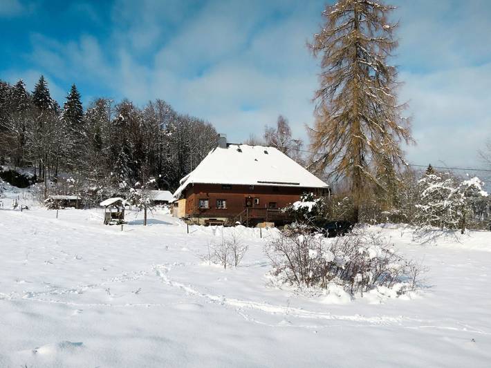 Bistenhof - Bistenhof 649.1 in Hinterzarten, Südschwarzwald
