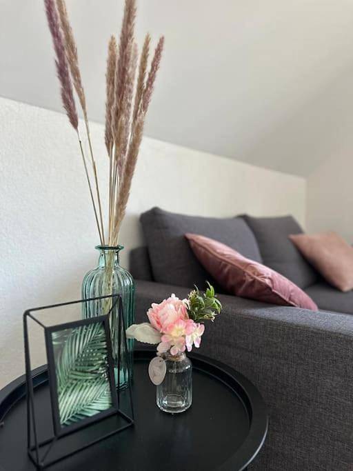 Gîte pour 2 personnes, animaux acceptés à Villers-le-Lac - 4