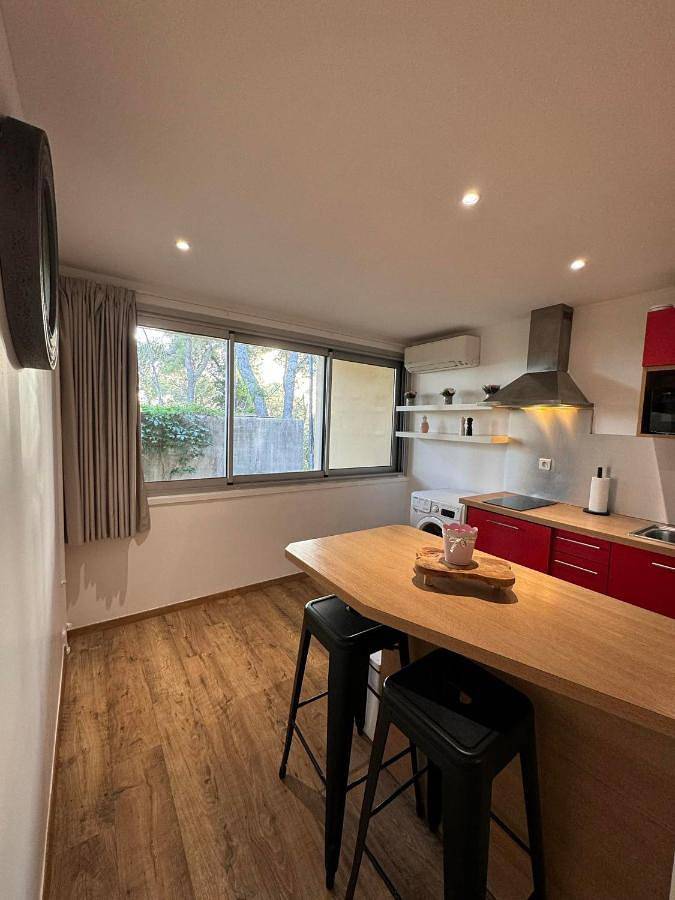 Gîte pour 3 personnes, avec jardin et vue à Clapiers - 4