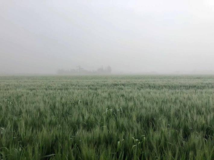 Casa rural para 8 personas, con jacuzzi además de jardín y piscina, Se admiten mascotas en Córdoba - 3