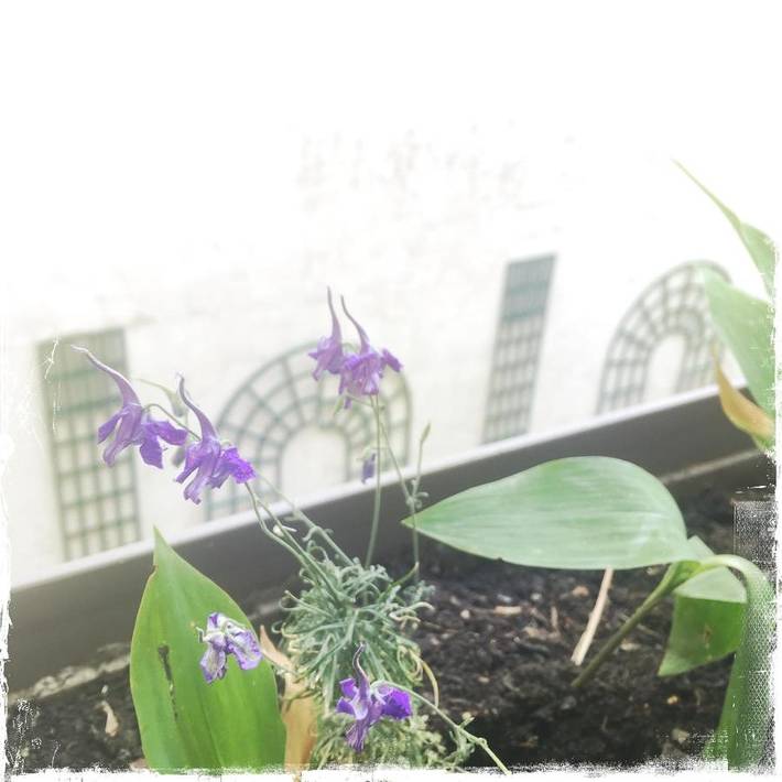 Maison d’hôte pour 2 personnes, avec jardin et vue, animaux acceptés à Boulogne-Billancourt - 2