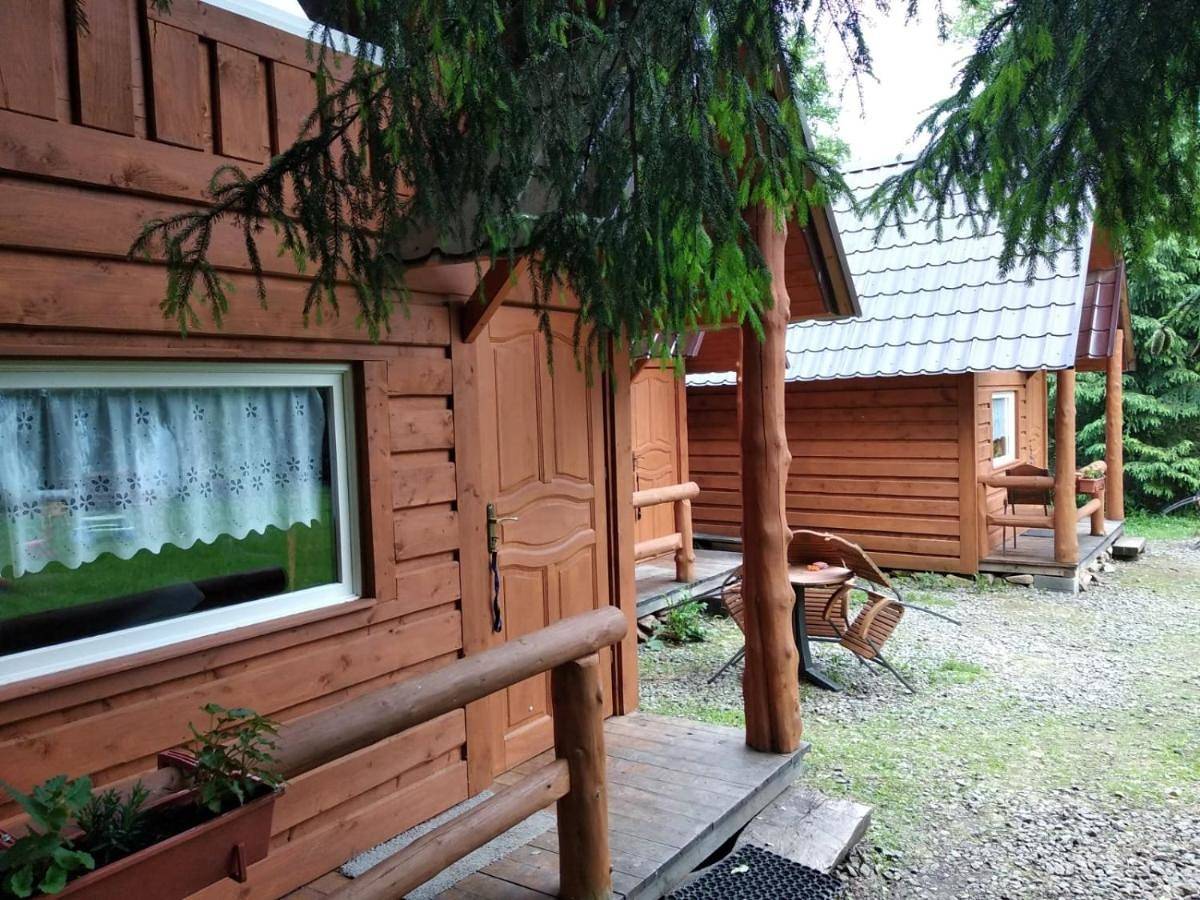 Chalet in Szlachtowa, Karpaty (Polska)