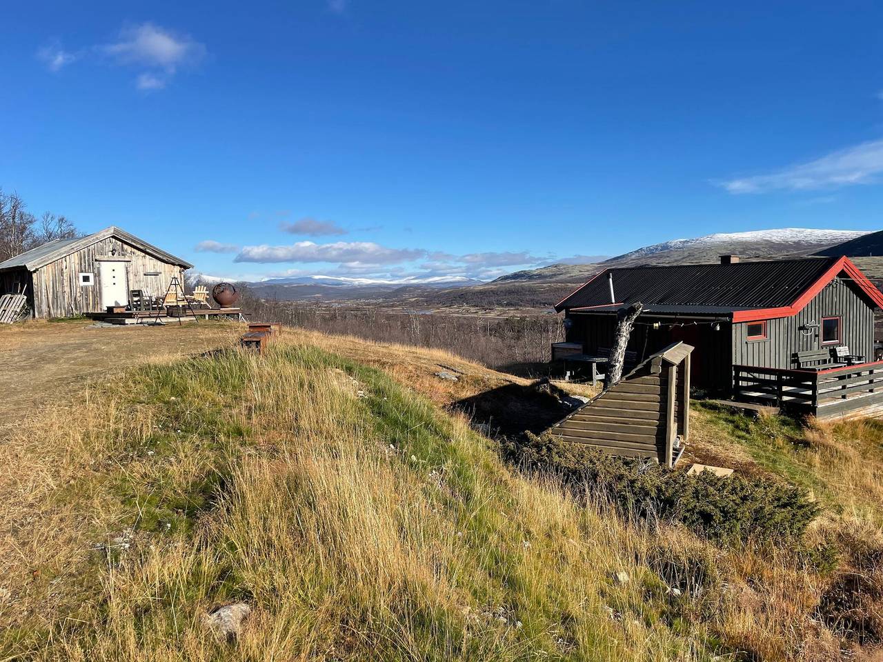 Lebe im Reich der Moschusochsen auf Dovrefjell in Dovre