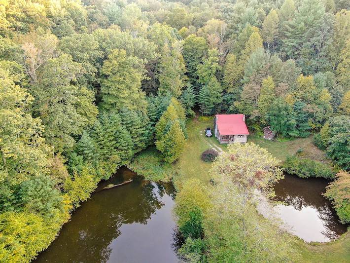 Blockhütte für 4 Personen, mit Haustier - 1