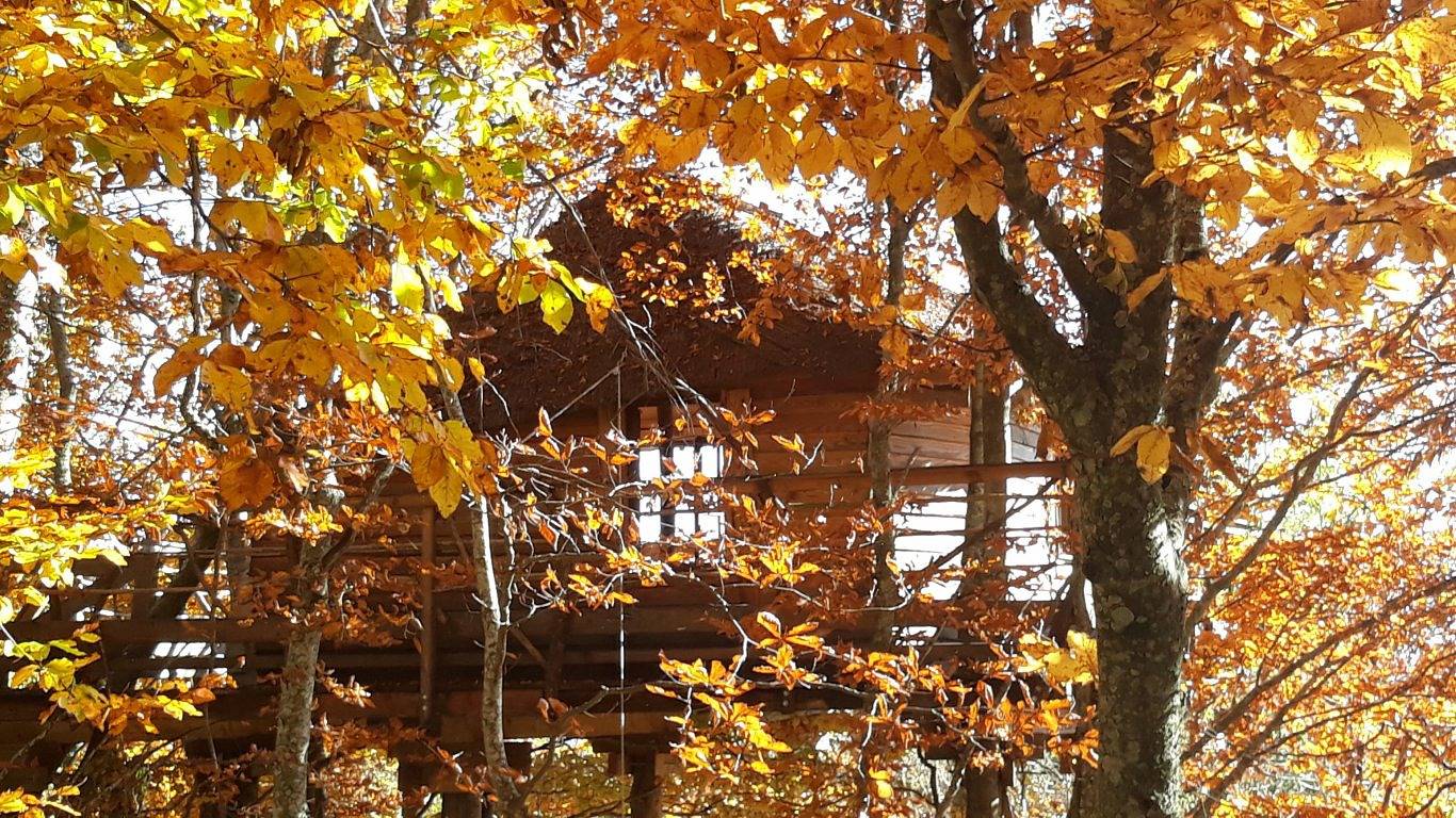 La Cabane des Fayards in Saint-Agrève, Parc naturel régional des Monts d'Ardèche