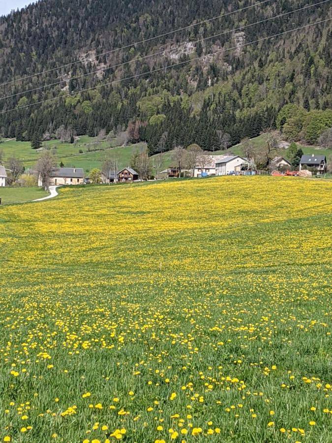 Chalet pour 8 personnes, avec jardin et vue à Autrans