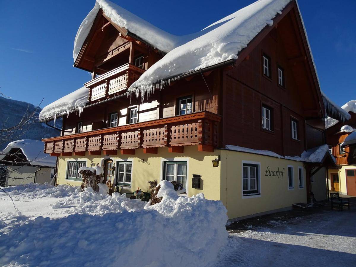 Ganze Wohnung, One-Bedroom Apartment in Haus, Schladming-Dachstein