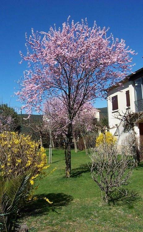 Apartamento de vacaciones para 4 personas, con jardín - 1