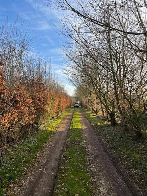 Location de vacances pour 8 personnes, avec jardin à Veauville-lès-Baons - 4