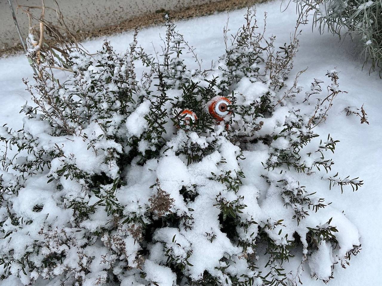 Ganze Ferienwohnung, Bullau | bü - Bullau | bü in Erbach im Odenwald, Main-Odenwald