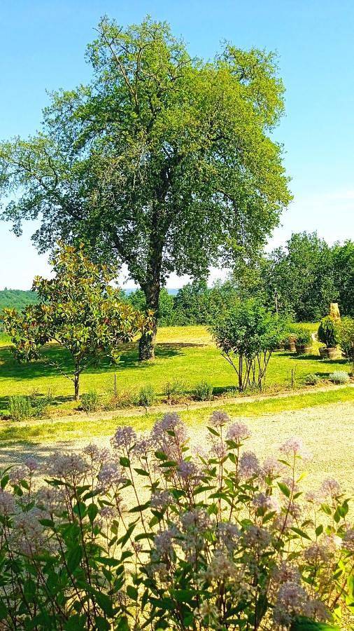 Gîte pour 4 personnes, avec jardin et vue à Puy-l'Évêque - 3
