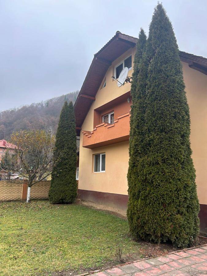 Maison d’hôte pour 2 personnes, avec jardin et vue, animaux acceptés à Alba (Romania) - 3