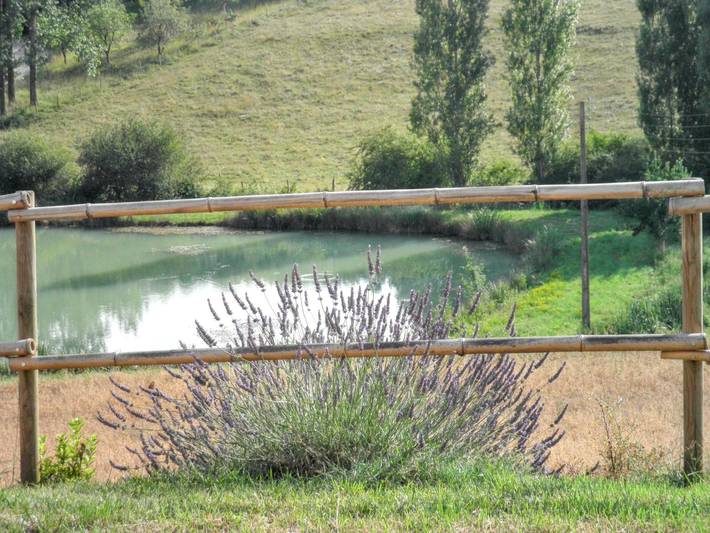 Location de vacances pour 6 personnes, avec jardin et vue sur le lac, animaux acceptés à Molières - 4