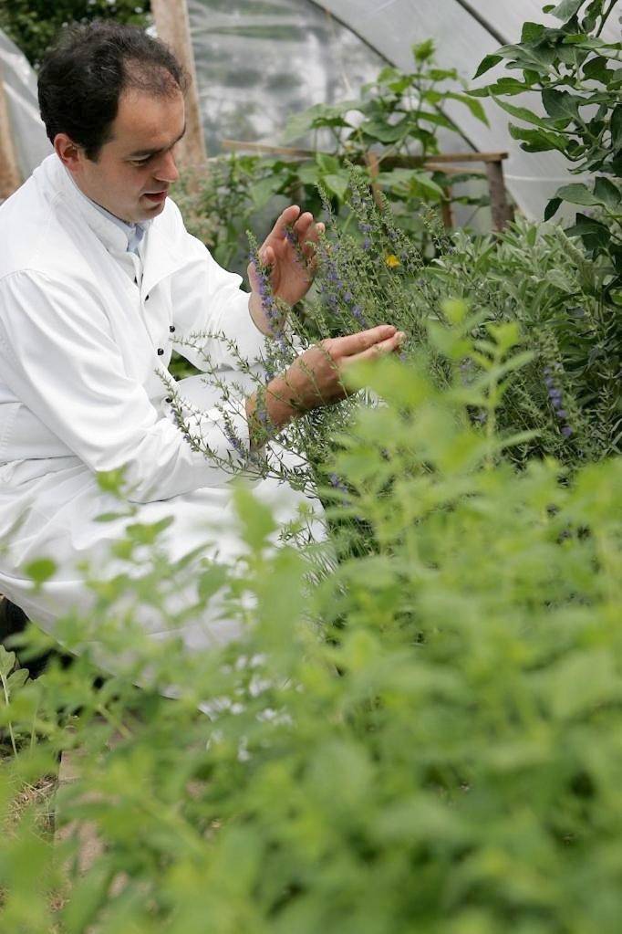 BnB für 3 Personen, mit Garten und Ausblick in Belgien - 4