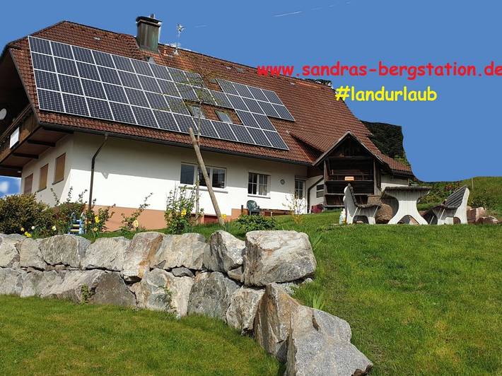 Ferienwohnung für 3 Personen, mit Balkon/Terrasse und Terrasse sowie Garten und Pool in Bad Rippoldsau-Schapbach - 2