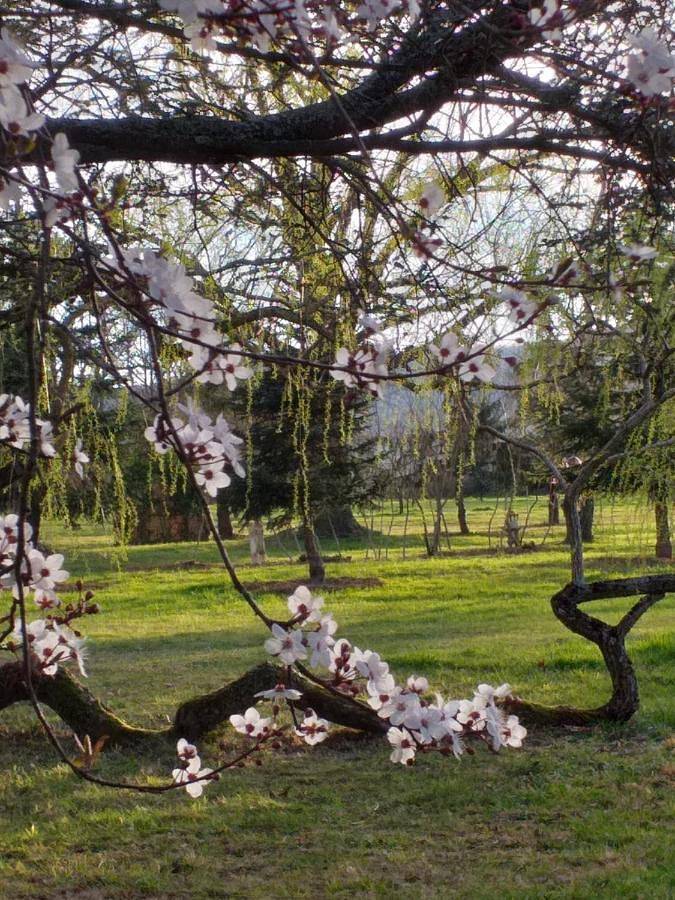 Domaine Berenguer in Ouches, Région de Roanne