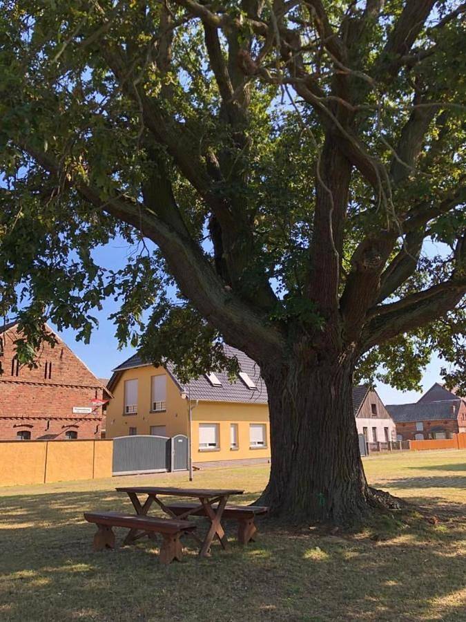 Ganze Wohnung, Ferienhaus zur Eiche am Dorfanger in Waldow/ Brand, Schönwald (Brandenburg)