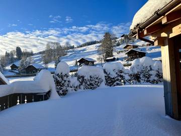Hütte für 8 Personen in Saanenmöser, Saanen, Bild 4