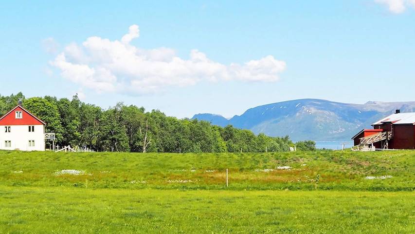 Ferienhaus für 7 Personen, mit Balkon in Vesterålen - 3