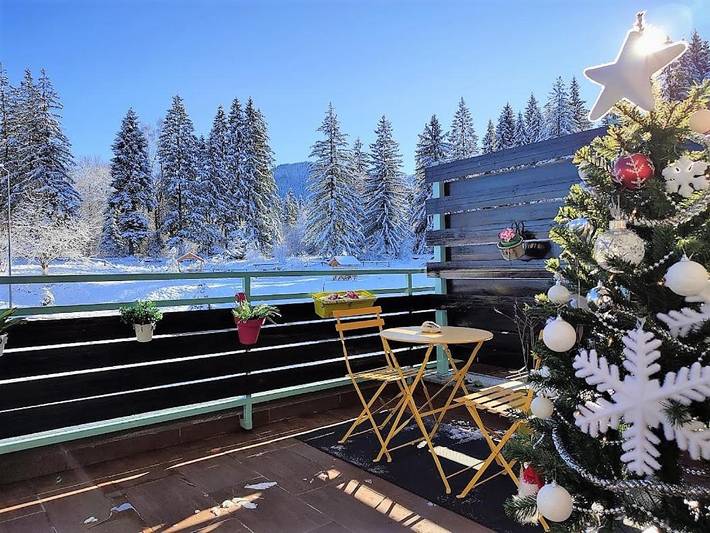 Gîte pour 4 personnes, avec jacuzzi et sauna ainsi que piscine et jardin dans Poiana Brasov - Brasov