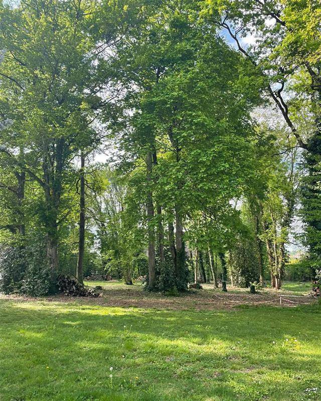 Gîte pour 4 personnes, avec sauna et jardin ainsi que jacuzzi et piscine dans La Bâtie-Montgascon - 3