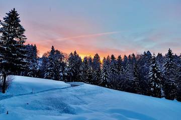 Chalet für 3 Personen in Langenegg, Bregenzerwald, Bild 1