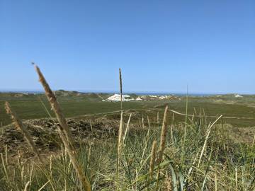 Vakantiehuis voor 5 Personen in Årgab, Holmsland Klit, Afbeelding 3