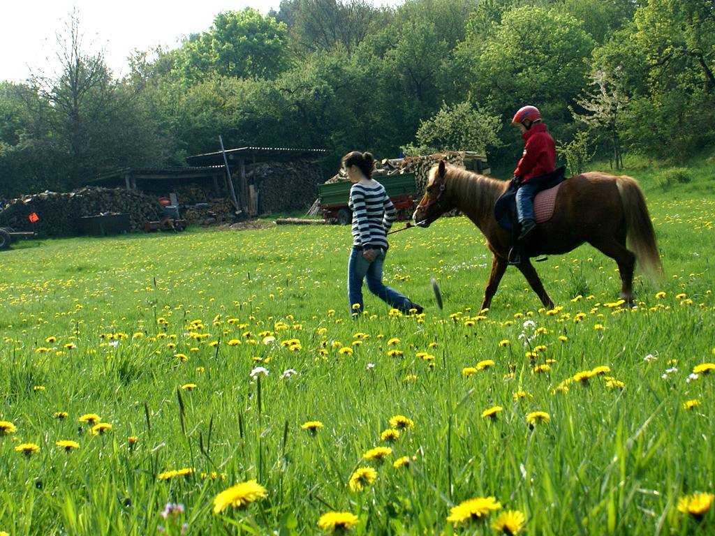 Märchen-Kinderbauernhof Ponyhof Kassel-Edersee-Berge - Ferienhaus Frau Holle in Naumburg, Hessisches Bergland