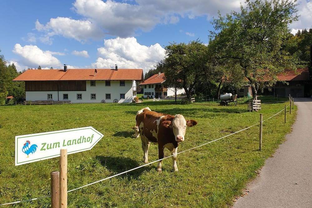 Dürrs Landhof - Ferienwohnung Obstbaumblick in Uffing, Das Blaue Land