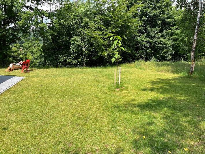 Gîte pour 4 personnes, avec jardin et vue à Eppenbrunn - 3