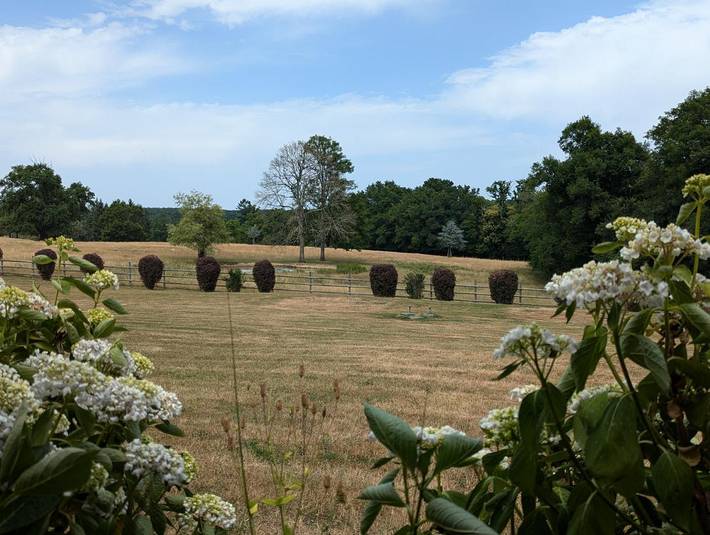 Chez Mady in Esse, Charente