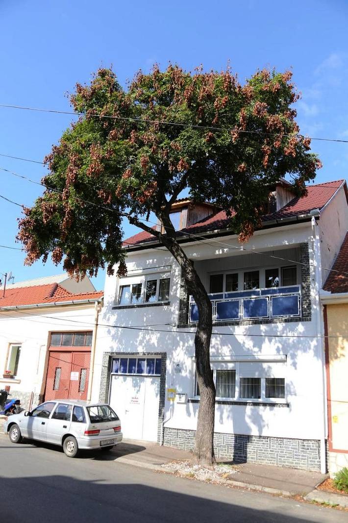 Dom gościnny dla 5 osób, z ogród, zwierzęta dozwolone w Eger