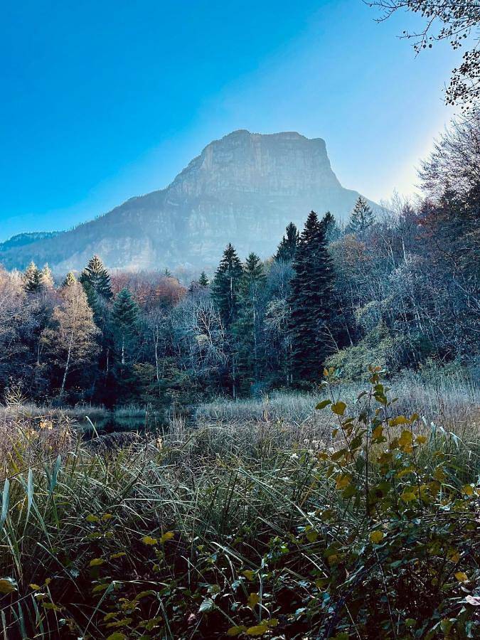 Gîte pour 3 personnes, avec balcon à Chapareillan - 2