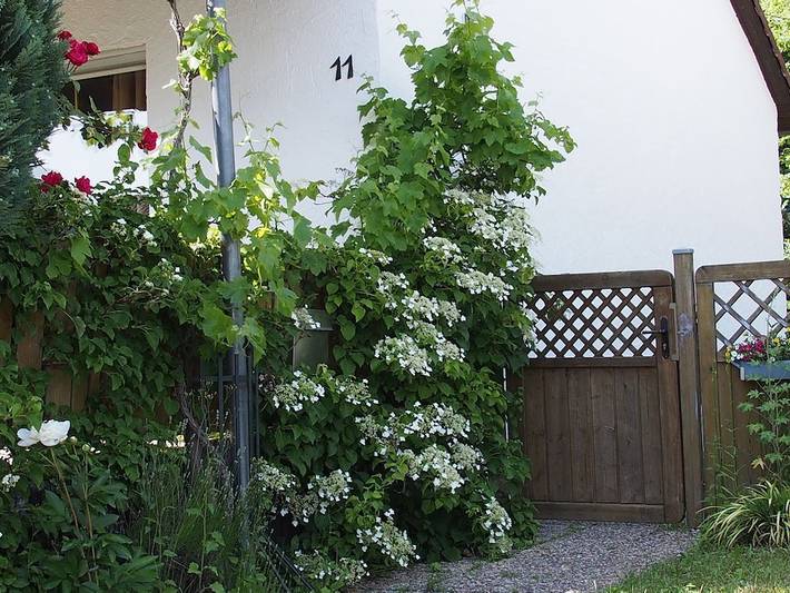 Ferienhaus für 4 Personen, mit Terrasse und Garten in Daun - 3