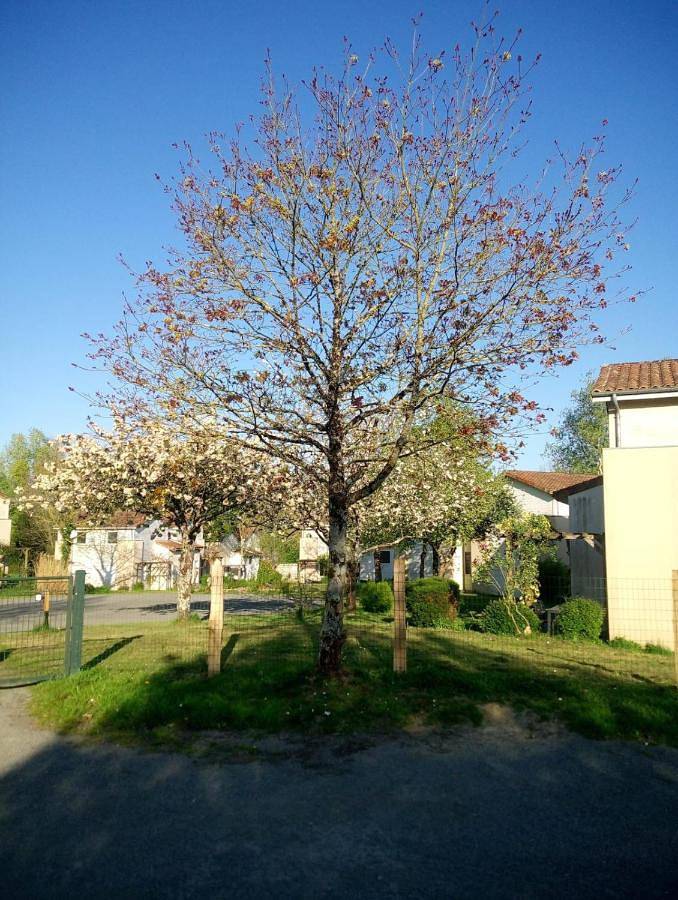 Appartement entier, Les Clés Nature in Moutiers-sous-Chantemerle, Deux-Sèvres