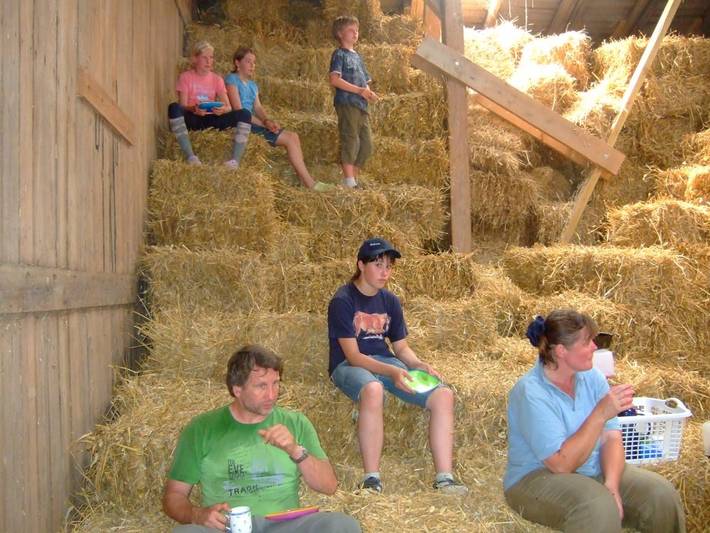 Bauernhof für 4 Personen, mit Garten und Sauna in Kappeln & Umgebung - 4