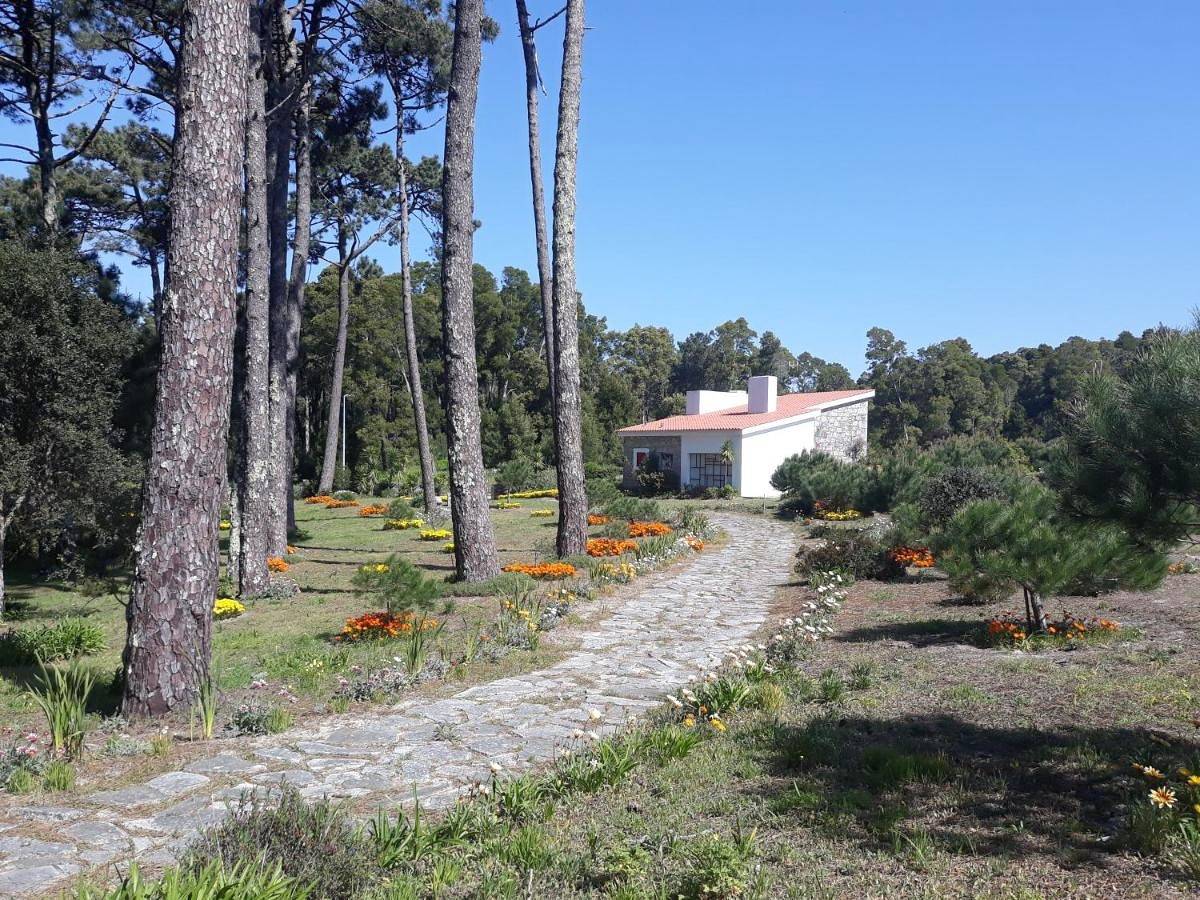 Four-Bedroom House in Moledo, Distrito de Viana do Castelo