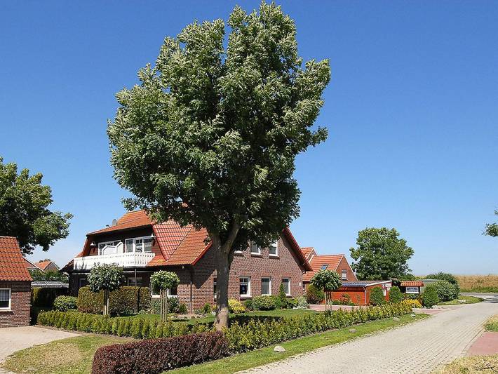 Ferienwohnung für 3 Personen, mit Balkon in Holtgast - 2
